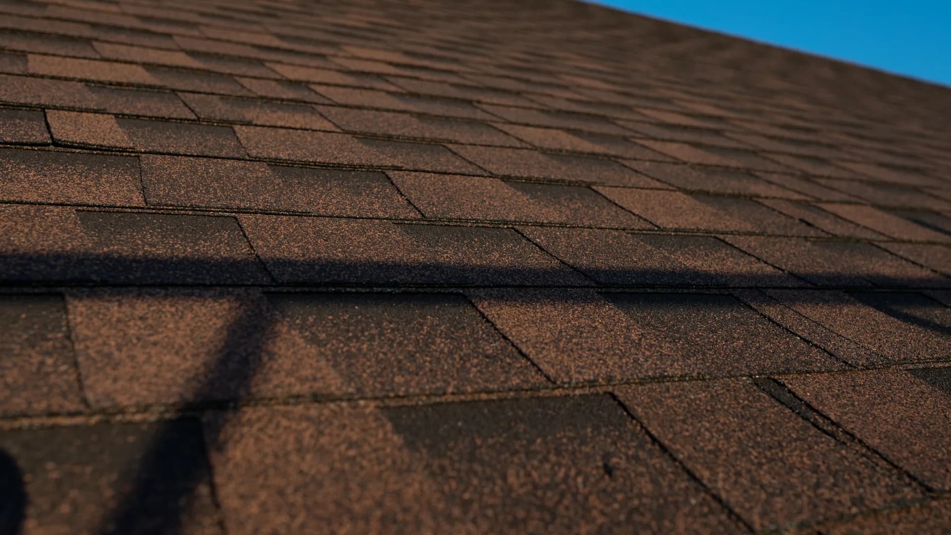 Acoperiș cu șindrilă bituminoasă — Lilu Ojovan — imagine 9