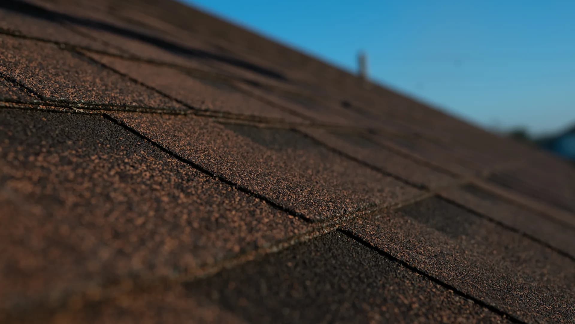 Acoperiș cu șindrilă bituminoasă — Lilu Ojovan — imagine 10