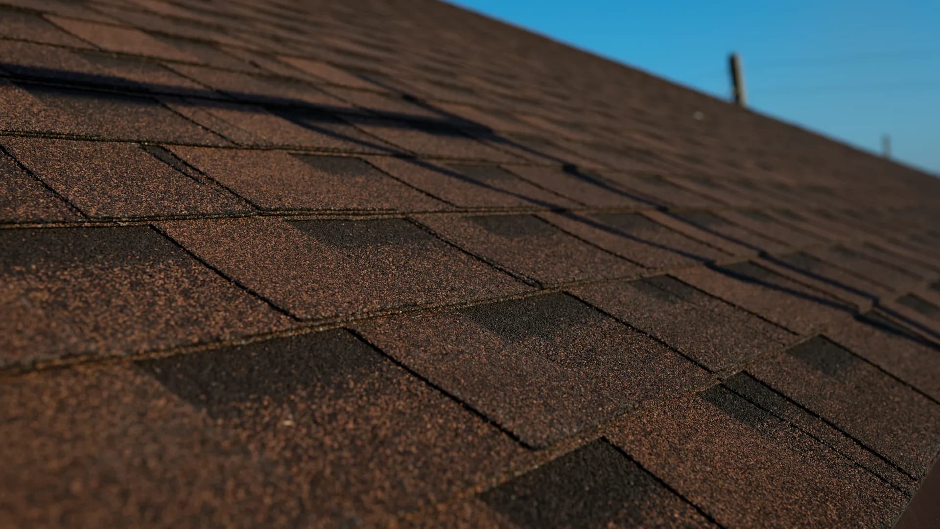 Acoperiș cu șindrilă bituminoasă — Lilu Ojovan — imagine 11