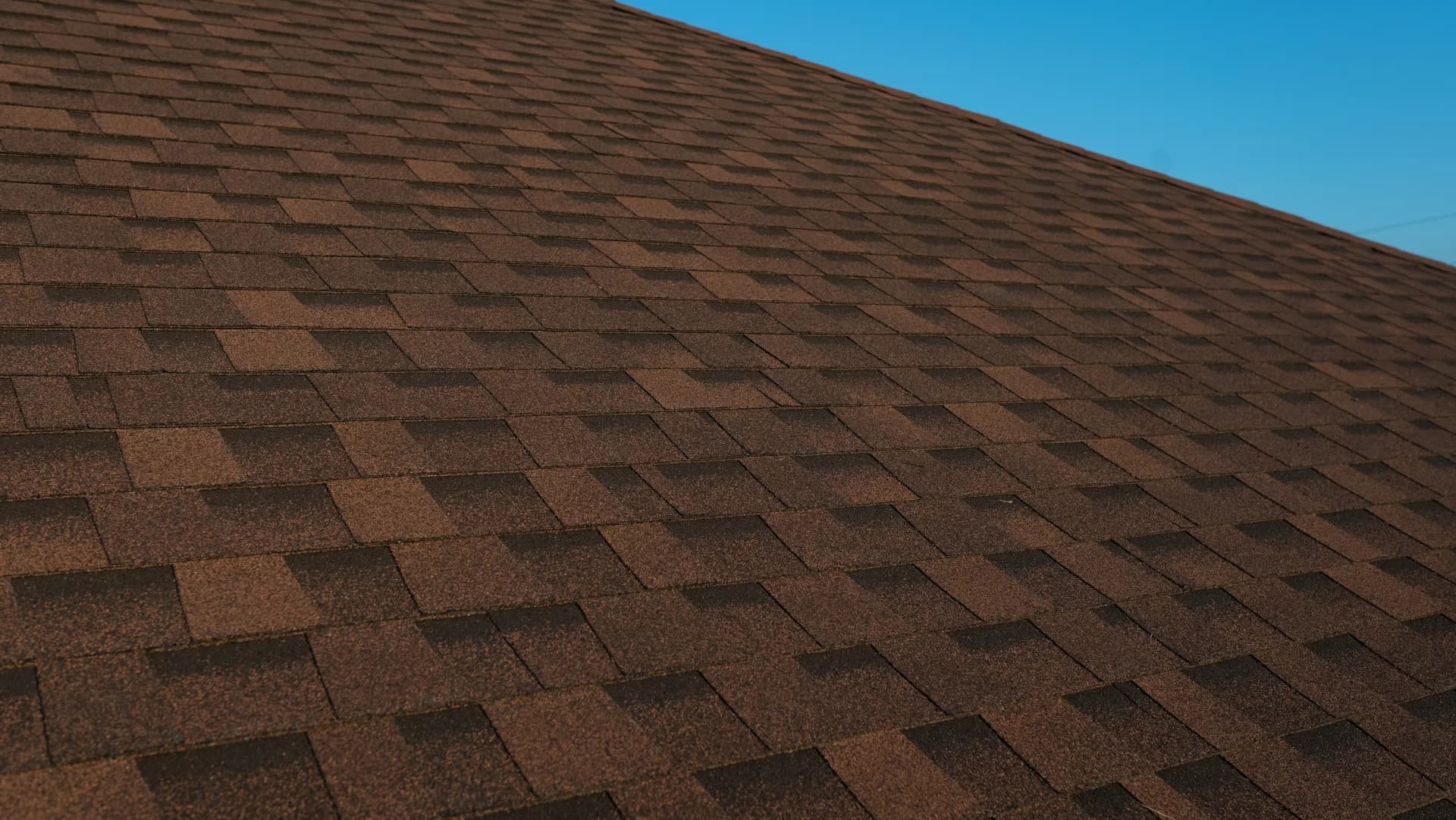 Acoperiș cu șindrilă bituminoasă — Lilu Ojovan — imagine 12