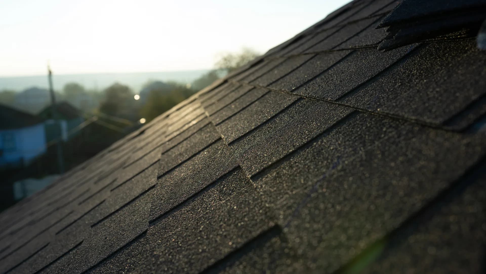 Acoperiș cu șindrilă bituminoasă — Lilu Ojovan — imagine 15